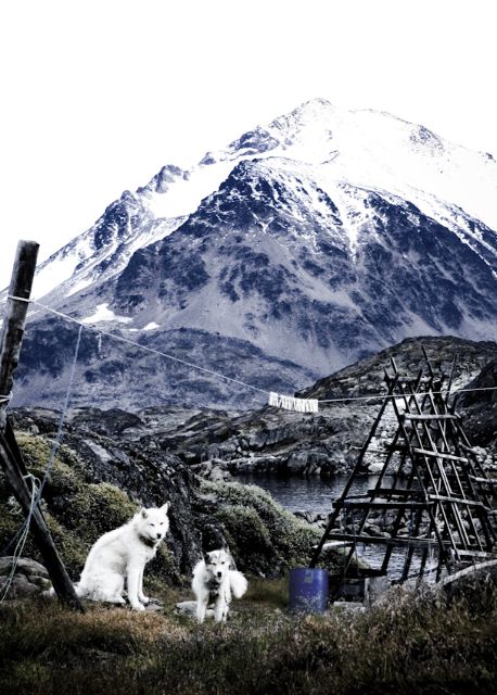 Sleigh Dogs (from series; Clearly Remote) 2006